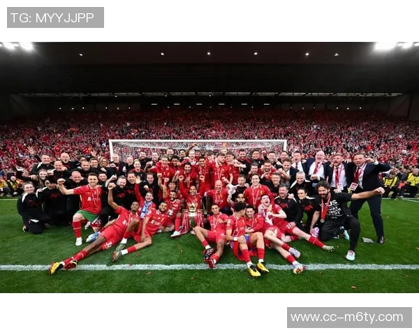 英超专家组确认范戴克对曼城进球有效引发争议